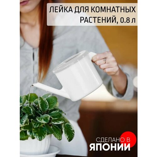 ���� ����� ��� ��������� �������� 800 ��, ������ �� 374 ���