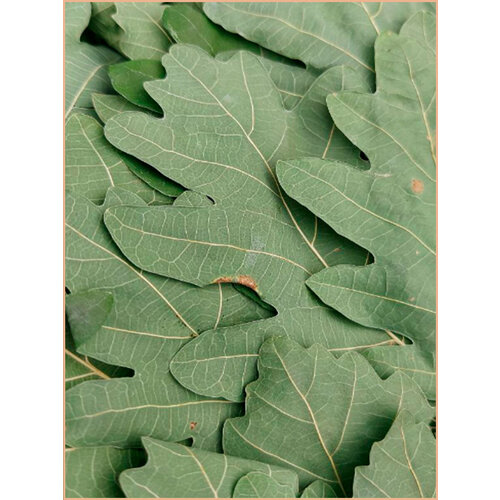 ���� ������� ������, ������ �� 449 ���