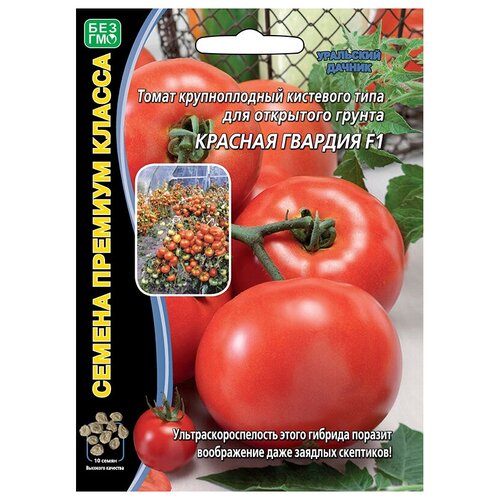 ���� ������ ��������� ������ ������� ����� ������� ������� F1 10 ��., ������ �� 137 ���