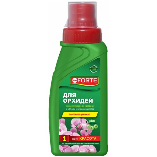   BONA FORTE  ,  , 0.285 , 384 , 1 .,   239 