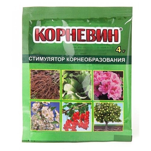 ���� ��������� ���� ��������� ��������, 4 �, 1 ��., ������ �� 59 ���