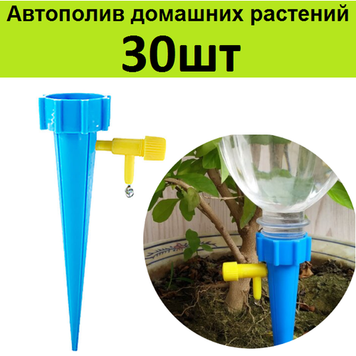 ���� ������ 30�� �� ������� ��� ���������� ������ ���������� �������� ��������. ������� ��������� ������������� ��������� ������, ������ �� 1480 ���