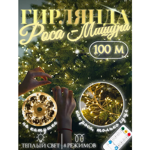 ���� �������� 