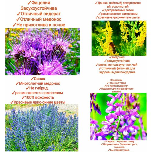 ���� ����� ���������� ����/���������,200�� (������+�������+�����+���������), ������ �� 646 ���