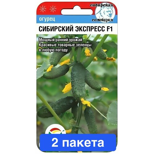 ���� ������ ������ ��������� ��� 