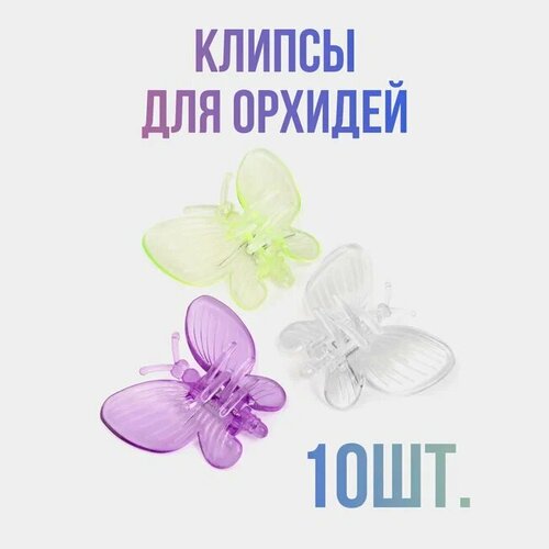 ���� ������ �����, ��������� ������� ��� �������, �������� ������, ��������� �������� 10 ����, ������ �� 272 ���