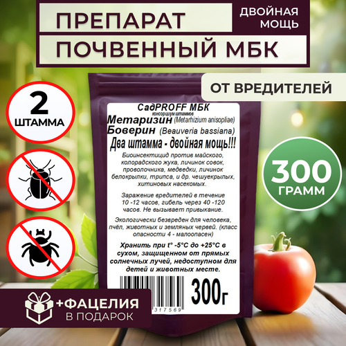 ���� ��������� ������� ����������� �� ���������� 300�, ������ �� 650 ���