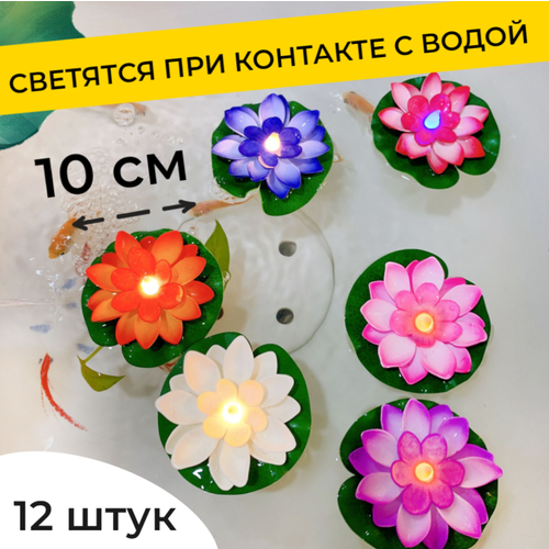 ���� ������� ������� �������� 12 ��, ���������� �� �������� � �����, ������� 10 ��, ������������� �����, �����, ������ �� 2100 ���