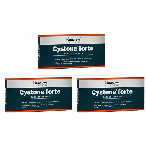     (Cystone Forte)    ,    , 360 .,   2451 