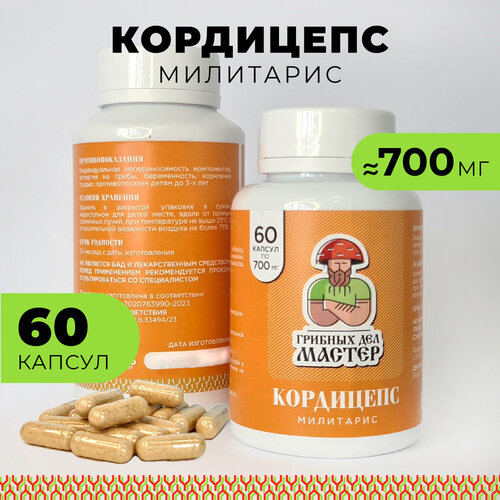    (Cordyceps militaris), 60  700 ,      -     , -, 