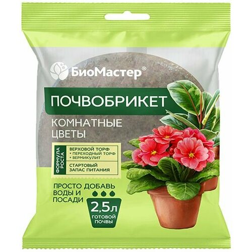 ���� ����������� 