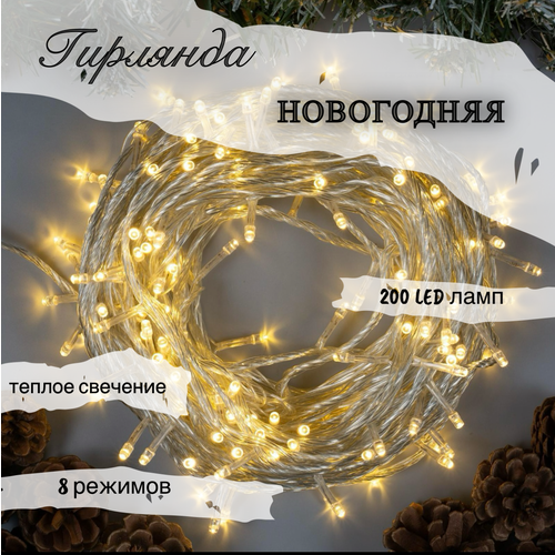 ���� ������������ �������� ���������� �������� ���� ������������ 200 ���� �������� 20 ������ � 8 ������� �� ����, ������ �� 1290 ���