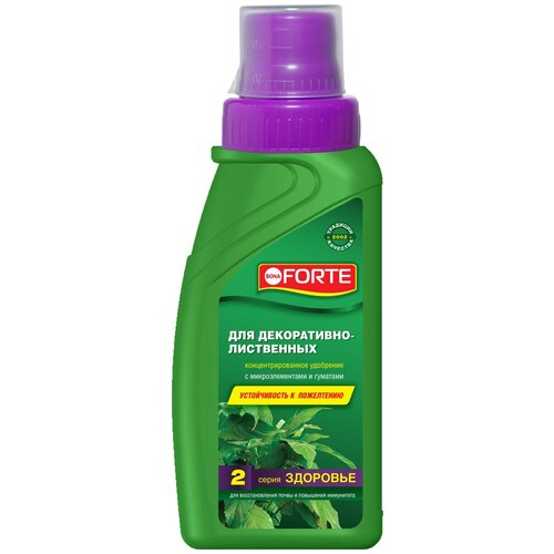 ���� ��������� BONA FORTE ��� �����������-���������� ��������, ����� ��������, 0.285 �, 364 �, 1 ��., ������ �� 190 ���