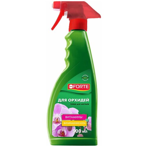 ���� ��������� BONA FORTE ����� ��� �������, 0.5 �, 570 �, 1 ��., ������ �� 329 ���