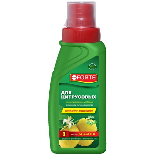 ���� ��������� BONA FORTE ��� ����������, ����� �������, 0.285 �, 387 �, 1 ��., ������ �� 361 ���