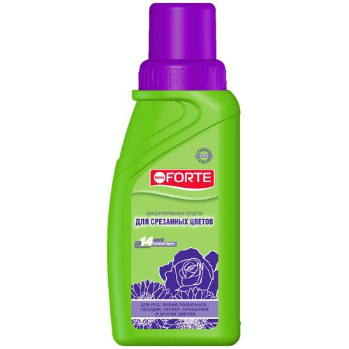 ���� ��������� BONA FORTE ��� ��������� ������, 0.285 �, 295 �, 1 ��., ������ �� 634 ���