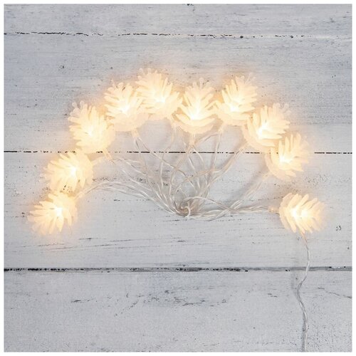 ���� �������� NEON-NIGHT 303-098, 1 ��. � ������, 1.5 �, 10 ����, ������ �����/���������� ������, ������ �� 342 ���