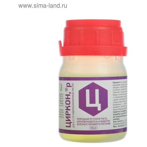 ���� ��������� �����, ��������� ����������������� 