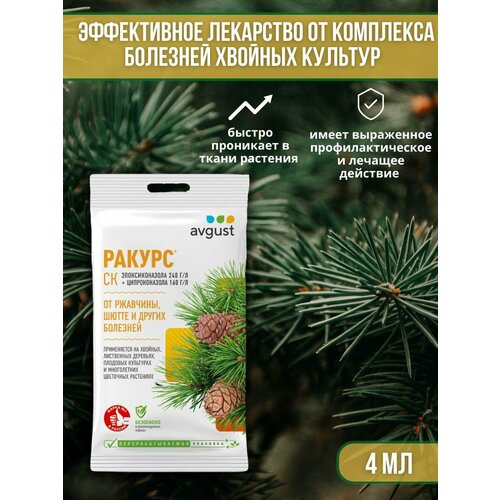 ���� �������� �� �������� ������� ��������, ��������� ��� ������ � �����, ��������� ������ 4 ��, ������ �� 351 ���