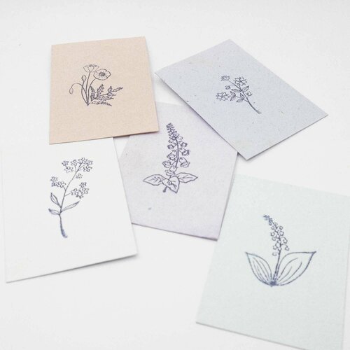 ���� ����� �������� �� ������ ������� ����� � �������� 