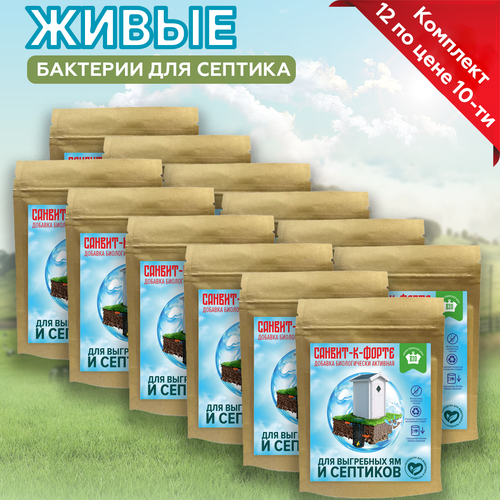 ���� �������� 