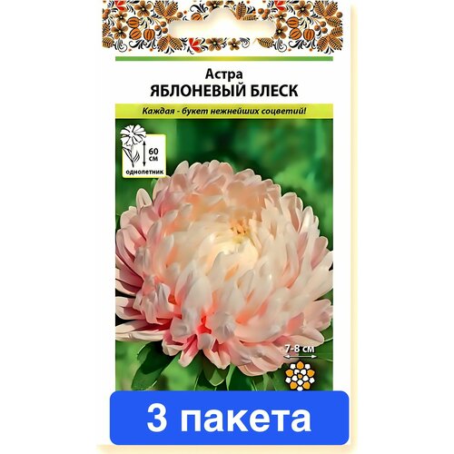 ���� ������ ������ ������� ������ 