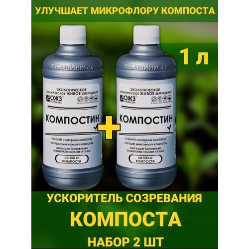 ���� ���������, 1� ���������� ���������� ��������, ������ �� 500 ���