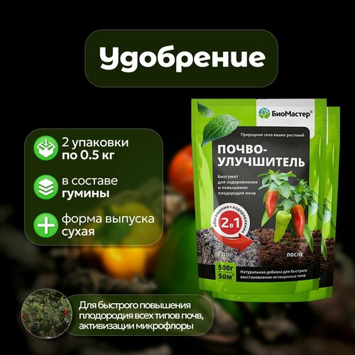  ,   2   0,5 .      .     ,    ,   993 