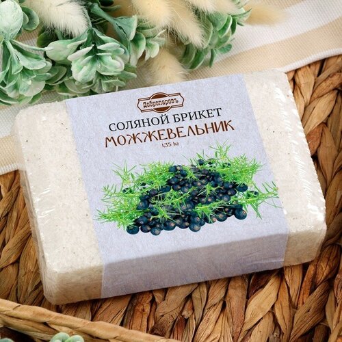 ���� ������� ������ 