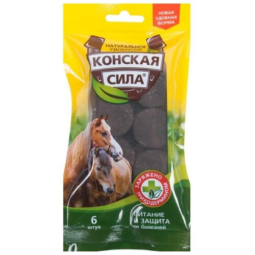 ���� ��������� ��������� ����������� ������� ����, 6 �������� ., ������ �� 385 ���