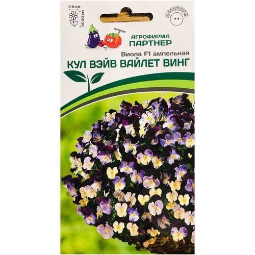 ���� ������ ����� ��������� 