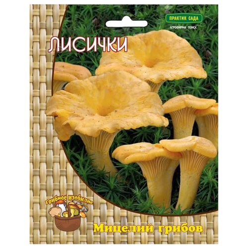 ���� ����� ������� 60 ��, ������ �� 350 ���