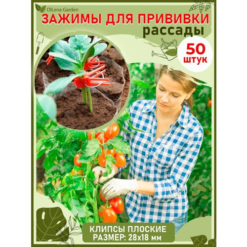 ���� OlLena Garden / ������ ������� ��� �������� ��������, ����������� ������, ��� ������, ����, �������, 50 ��., ������ �� 496 ���