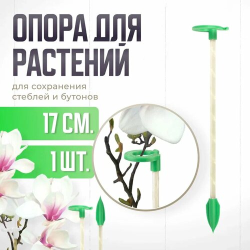 ���� ����� ��� �������� � �������, ������� ������� ��� �������, ��� ������� , ��������� ������ 17 �� -1 ��, ������ �� 369 ���