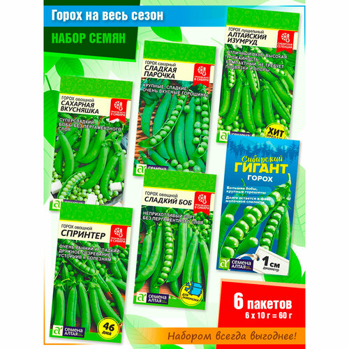 ���� ����� ����� �������� ������ �� ���� ����� �� ������ ����� (6 �����), ������ �� 375 ���