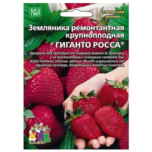 ���� ������ ��������� ������������ ������������� 