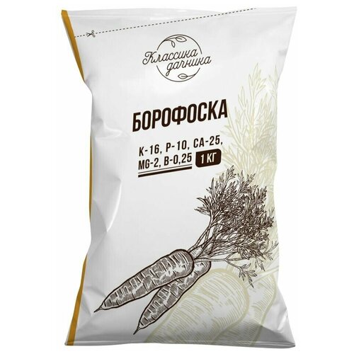 ���� ��������� ��������� 1 ��, ������ �� 161 ���