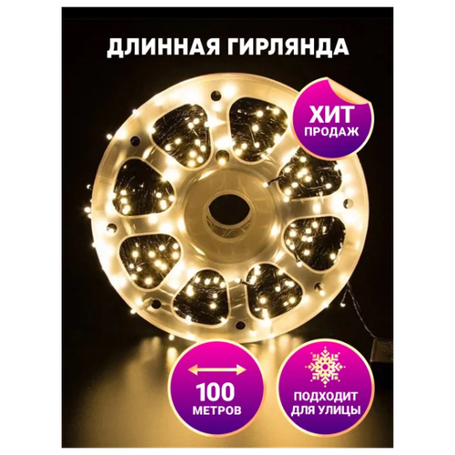   -  100 \     \   220\ NewLamp   -     , -, 