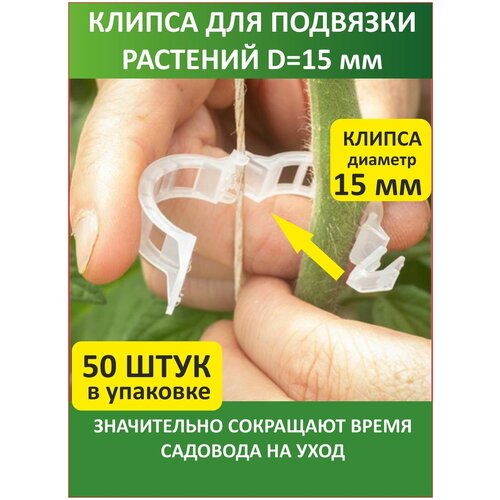 ���� ������ ������� ��� �������� �������� ������� ���������� ������� ������� �������, ������ �� 289 ���