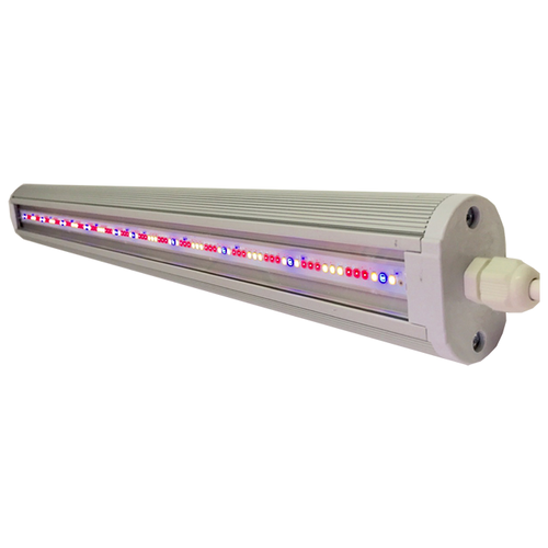 ���� FitoLED Combo ����������������� 74��, 1 ��., �����������, ������ �� 10125 ���