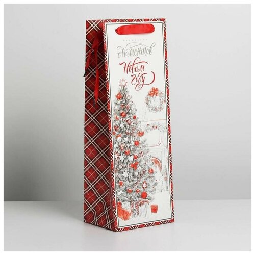 ���� ����� ��� ������� ��������� ���������� ��������, 13 ? 36 ? 10 ��, ������ �� 284 ���