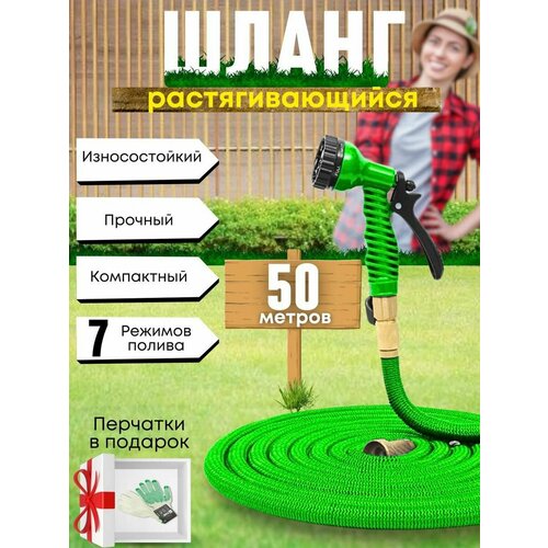 ���� ����� ������� ���������� ���������������, 50 ������, ������ �� 1850 ���