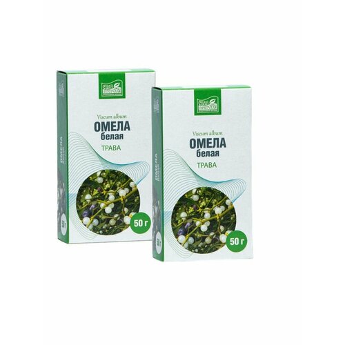 ���� ����� �����, ������������� 