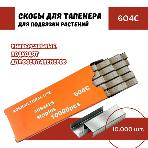 ���� ����� ��� �������� (��������) 50.000 ����, ������ �� 600 ���