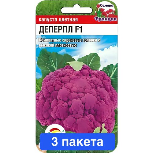 ���� ������ ������ ��������� ��� 