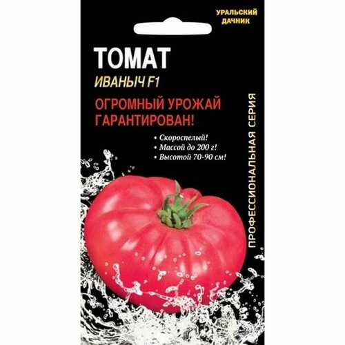 ���� ������ ����� ������ F1 (�����������), �����������, ���� 12��, ������ �� 45 ���