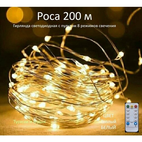 ���� �������� ���� 200 � � ������� ����������, ������, ������ �� 2999 ���