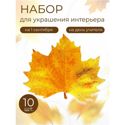 ���� ������� ����� ���� �������� 