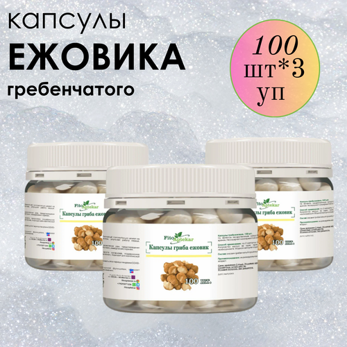 ���� ������ ���� ����������� � �������� ����-��������, ����������� ������� ������� 100 ��*3 ��������, ������ �� 2400 ���