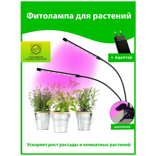     LED /   ,  , USB   ,   , ,   1550 